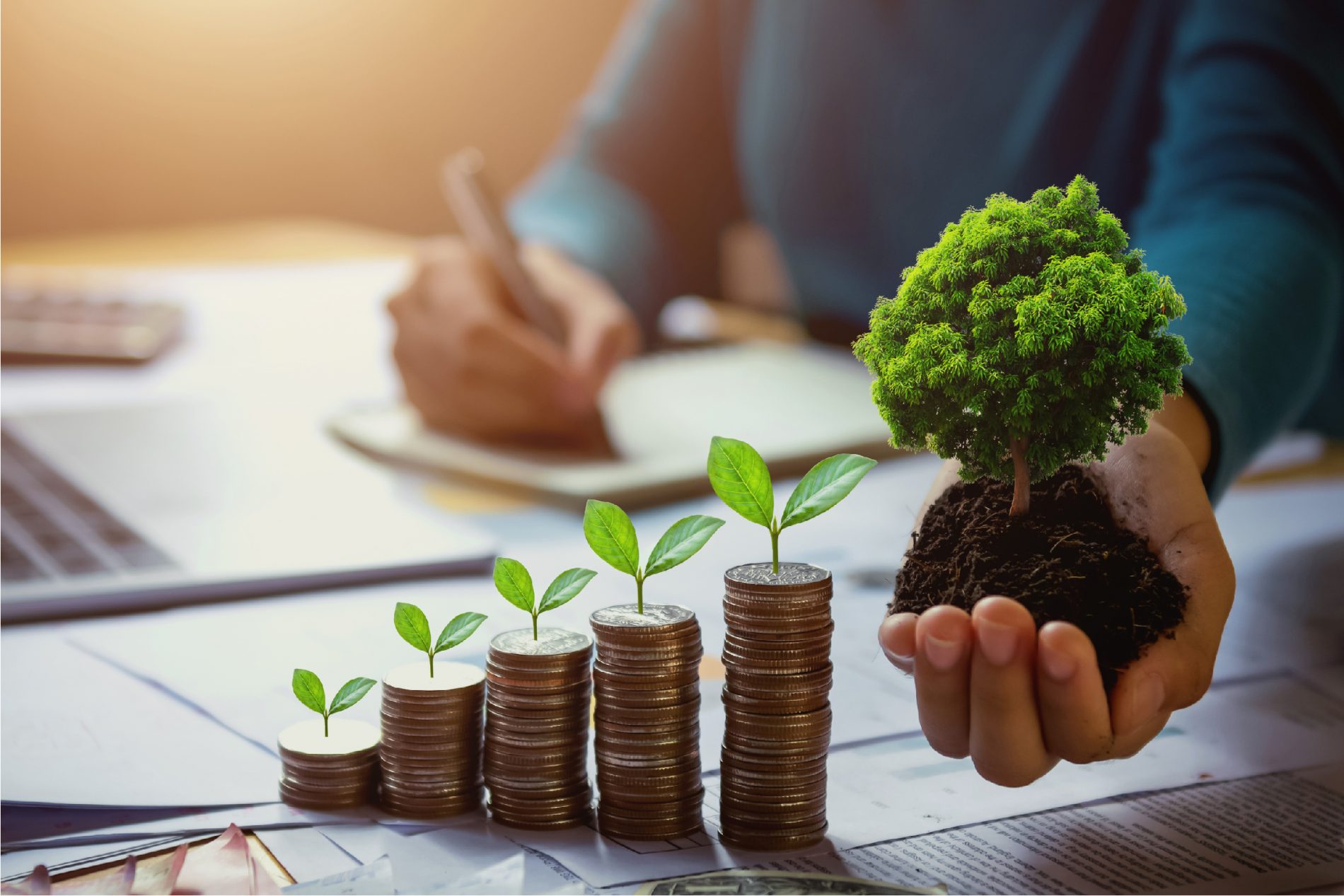 Tour d’horizon sur la finance verte